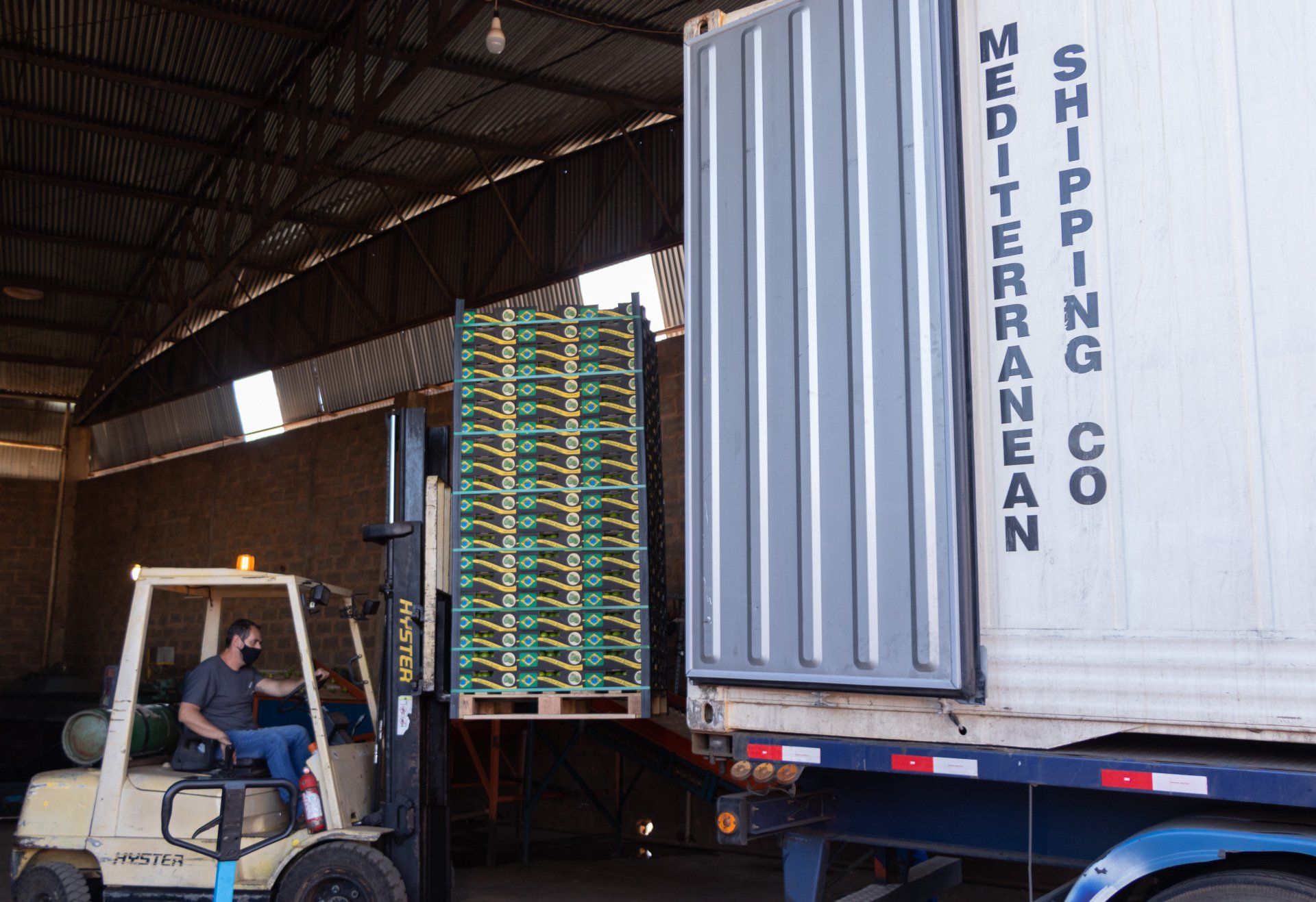 AVM Fresh Fruits — Quality from farm to table